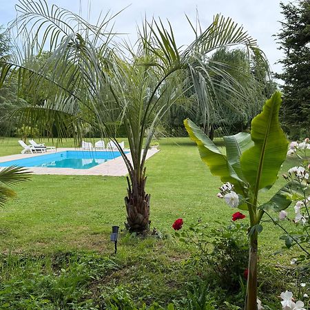 Appartement Familial Au Bord De La Marne, Jardin 8000M2, Piscine, Court De Tennis, Terrasse, Parking Gratuit Proche Disneyland Isles-lès-Villenoy Eksteriør bilde