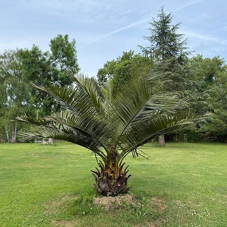 Appartement Familial Au Bord De La Marne, Jardin 8000M2, Piscine, Court De Tennis, Terrasse, Parking Gratuit Proche Disneyland Isles-lès-Villenoy Eksteriør bilde